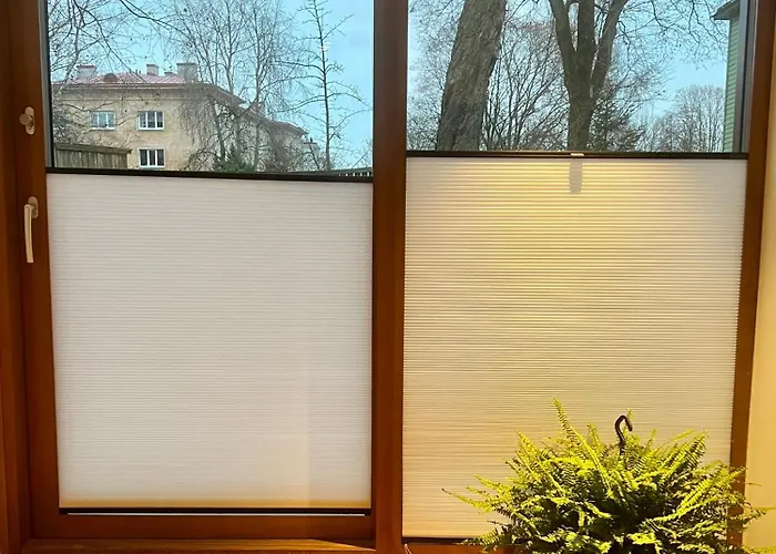 Soullight * Таллин